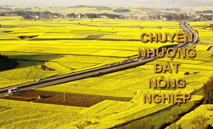 Chuyển đổi quyền sử dụng đất nông nghiệp theo quy định hiện hành