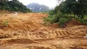 gia hạn thuê đất

