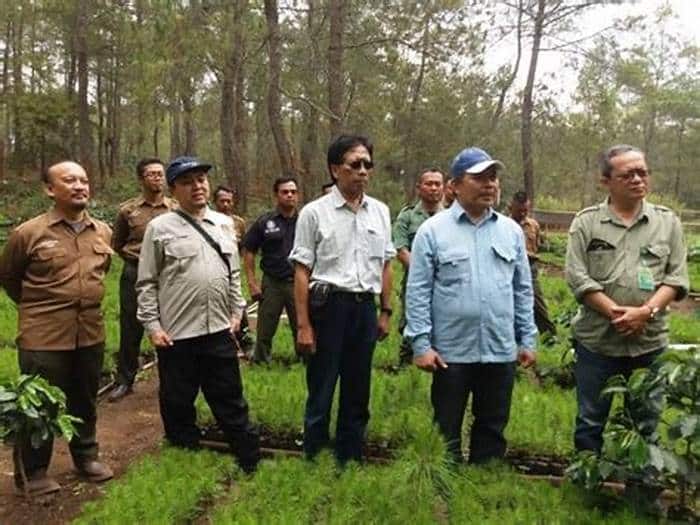 Quy định về đất nhận khoán, bồi thường khi thu hồi đất nhận khoán theo pháp luật hiện hành 2022