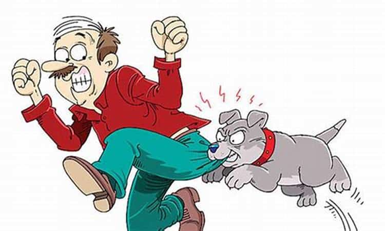 Bồi thường thiệt hại ngoài hợp đồng theo Bộ luật Dân sự 2015