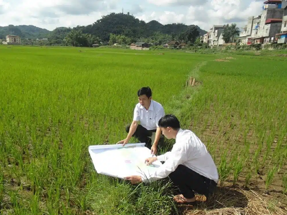 đất nông nghiệp