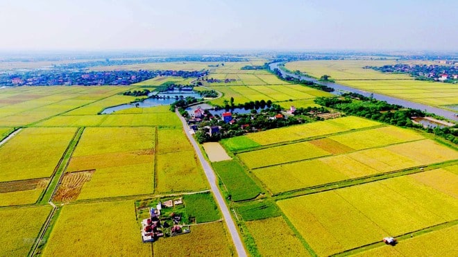 Đất nông nghiệp không được cấp Giấy chứng nhận quyền sử dụng đất?