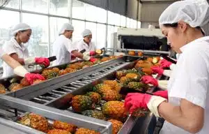Tội vi phạm quy định về an toàn thực phẩm bị phạt tù nhiều nhất bao nhiêu năm?