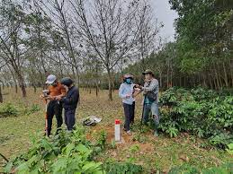 Giá đền bù đất trồng cây lâu năm 2023