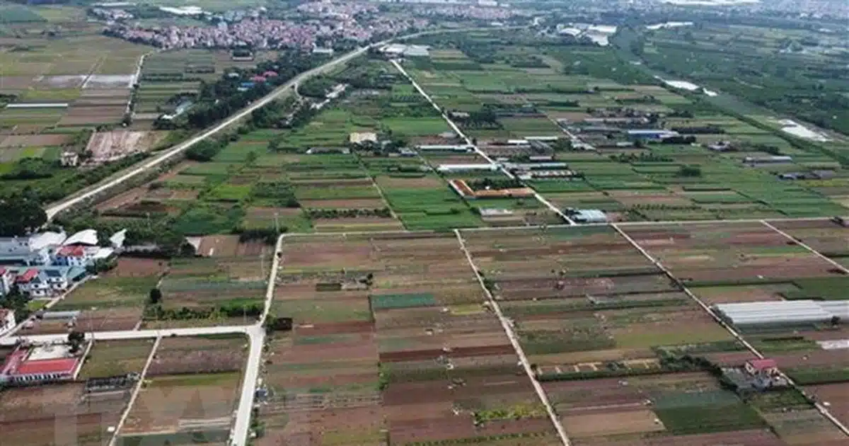 Các tội vi phạm quy định về quản lý, sử dụng đất đai