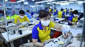 công ty may mặc