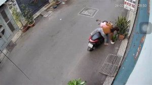 hành vi trộm cây cảnh