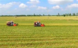 thừa kế là đất nông nghiệp