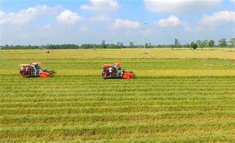 Chia thừa kế đối với di sản thừa kế là đất nông nghiệp hộ gia đình như thế nào? Việc chia di sản thừa kế được pháp luật quy định như thế nào? (2023)
