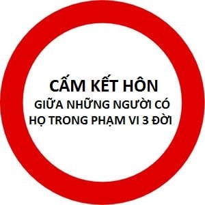 Việc kết hôn giữa những người có họ trong phạm vi ba đời thuộc trường hợp cấm kết hôn có thể bị xử phạt như thế nào? Ý nghĩa?