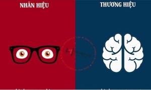 Phân biệt tên thương mại với nhãn hiệu?